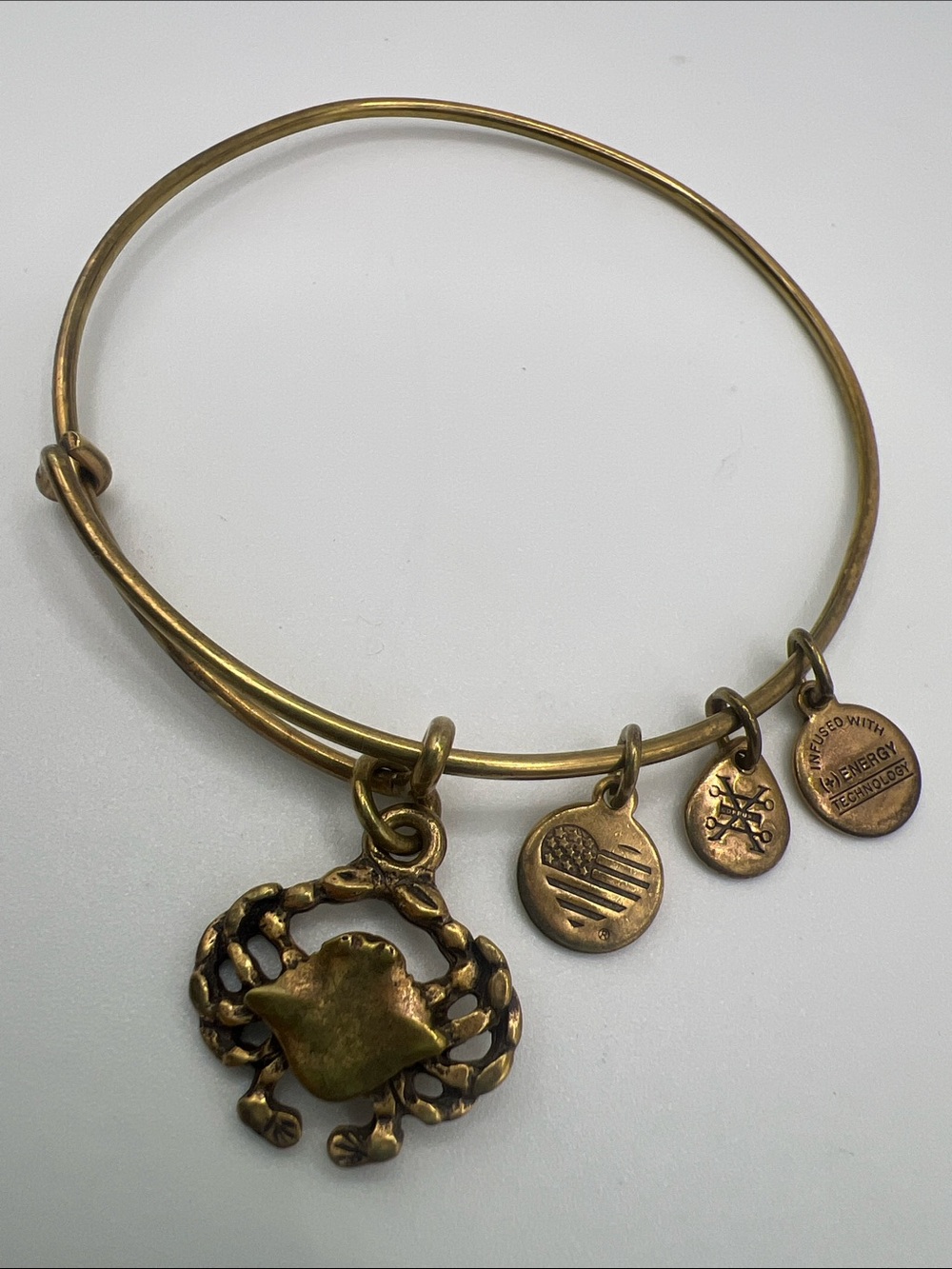 Alex and Ani Crab Nautical Beach Bracelet Bronze Tone Bangle with Charms